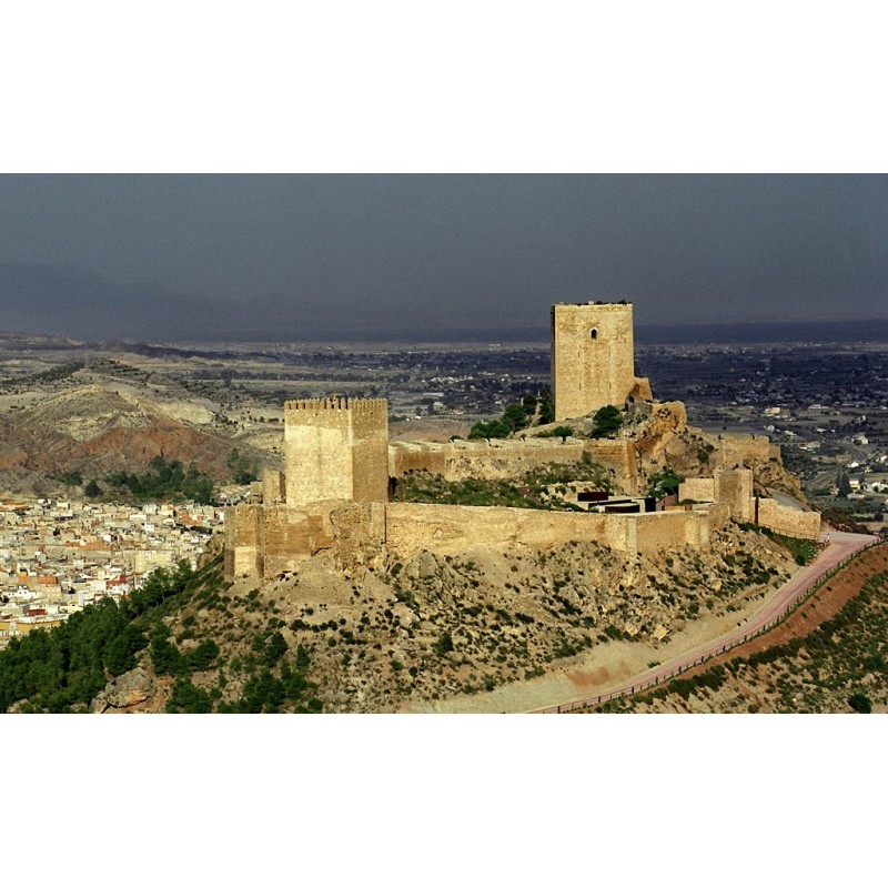 VIAJE CASTILLO LORCA
